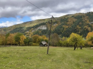 TEREN BRAN - OPORTUNITATE INVESTITIE - imagine 5