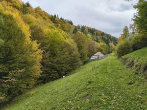 TEREN BRAN - OPORTUNITATE INVESTITIE - imagine 2