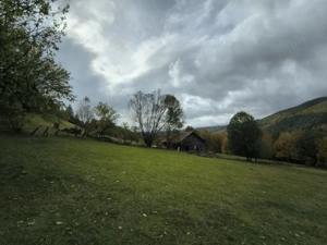 TEREN BRAN - OPORTUNITATE INVESTITIE - imagine 10