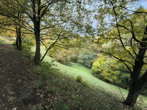 TEREN BRAN - OPORTUNITATE INVESTITIE