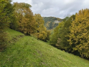 TEREN BRAN - OPORTUNITATE INVESTITIE - imagine 12