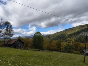 TEREN BRAN - OPORTUNITATE INVESTITIE - imagine 8