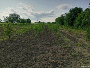 teren constructii - imagine 2