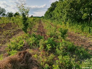 teren constructii - imagine 6