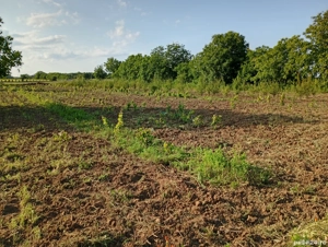 teren constructii - imagine 3