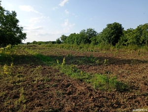 teren constructii - imagine 5