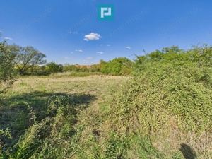 Teren intravilan 6115mp pentru investiții Firiteaz - imagine 3