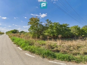 Teren intravilan 6115mp pentru investiții Firiteaz - imagine 5