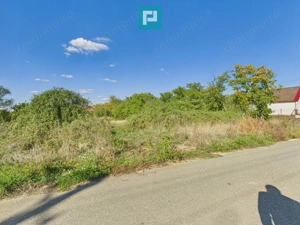 Teren intravilan 6115mp pentru investiții Firiteaz - imagine 4