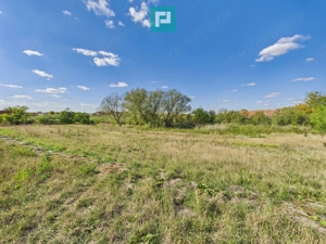 Teren intravilan 6115mp pentru investiții Firiteaz - imagine 2