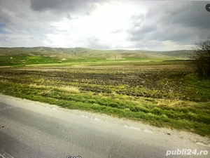 Vand Teren Cojocna - Iuriu de Campi - imagine 3