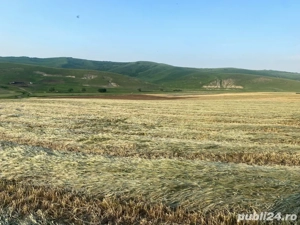 Teren de vanzare intre Cojocna si Iuriu de Campie - imagine 4