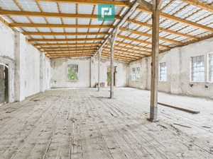 Spațiu versatil de 300 mp în Periam - imagine 2