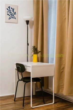 Inchiriere termen scurt mediu Piata Unirii - imagine 12