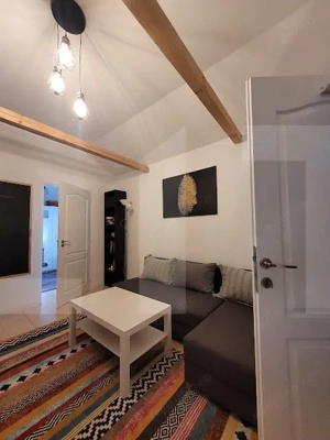 CABANA  LA 3 INSULE CU  IESIRE LA MURES LA PRET DE GARSONIERA