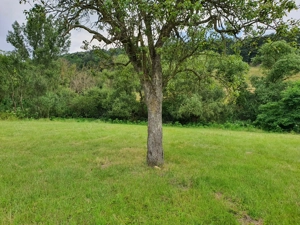 Teren intravilan de vanzare - imagine 3