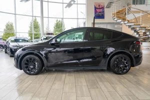 Tesla Model Y STANDARD RANGE - imagine 5
