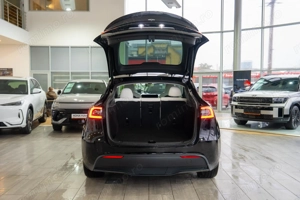 Tesla Model Y STANDARD RANGE - imagine 11