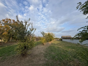 Teren Intravilan Becicherecu Mic In Vatra Satului,1104 mp,Fs. 14m - imagine 3