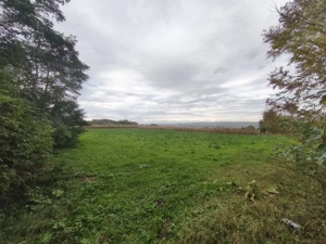 Casa individuala, 60mp, teren 3000mp, zona Padureni, Siret - imagine 11