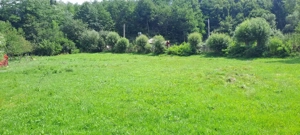 Proprietar vand teren intravilan Bughea de jos, Arges - imagine 2