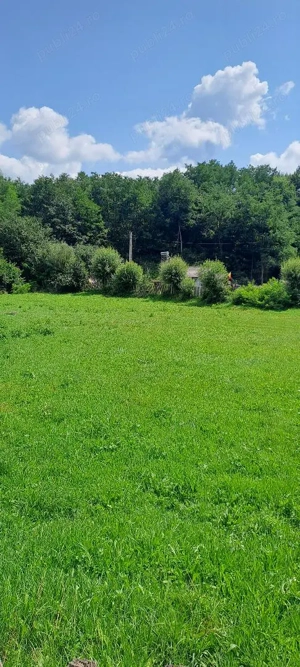 Proprietar vand teren intravilan Bughea de jos, Arges - imagine 4