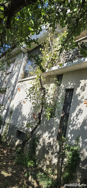 vand vila d+p+e 6 cam ,4 bai,4 balcoane cu teren 2500mp livada cu meri si pruni pe rod doar 135keuro - imagine 4