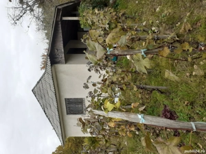 casa de la viie - imagine 2