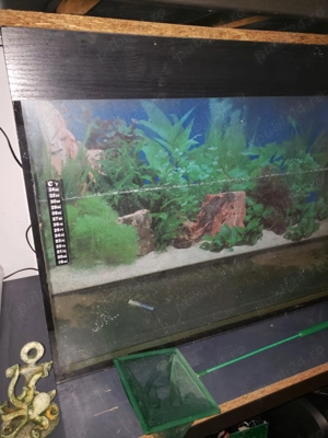 Acvariu 125 litri, pret fix