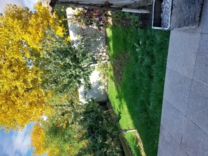 Casa de inchiriat Aninoasa(Dambovita) - imagine 8