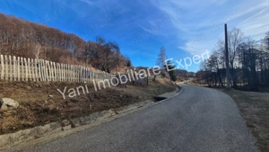 Teren de vânzare în comuna Cicănești, Județ Argeș. - imagine 7