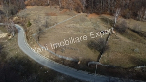 Teren de vânzare în comuna Cicănești, Județ Argeș. - imagine 3