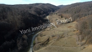 Teren de vânzare în comuna Cicănești, Județ Argeș. - imagine 4