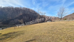 Teren de vânzare în comuna Cicănești, Județ Argeș. - imagine 12