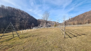 Teren de vânzare în comuna Cicănești, Județ Argeș. - imagine 11