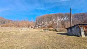 Teren de vânzare în comuna Cicănești, Județ Argeș. - imagine 10