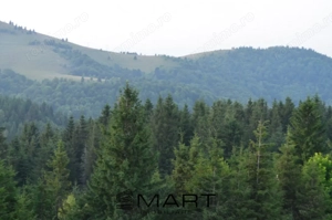 Casa individuala cu teren zona Paltinis - imagine 14