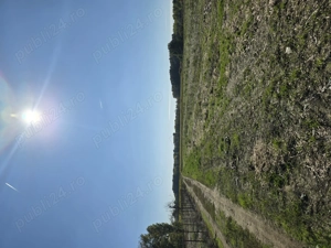 Teren intravilan Ploiești-București