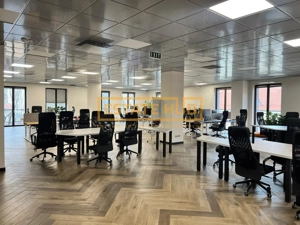 Spatiu de birouri de inchiriat - Piata Muzeului - imagine 10