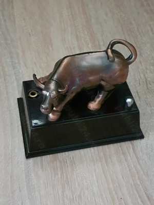 Bricheta Taur functionala