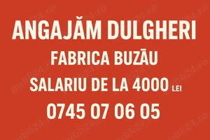 Dulgheri fabrica Buzau