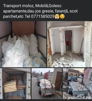 Transport Moloz, Mobilă, Golire apartament ETC.!