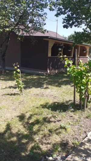 vand casa cu teren 800mp in Mosteni jud Teleorman - imagine 3