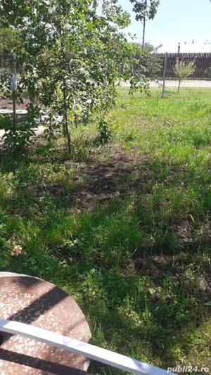 vand casa cu teren 800mp in Mosteni jud Teleorman - imagine 4