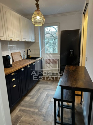 Aparatament cu 2 camere , modern cu centrala propie ,Zona Take Ionescu - imagine 8