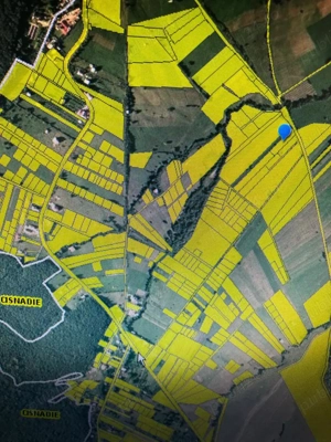 Teren intravilan Tocile Sadu 2000 mp - imagine 6