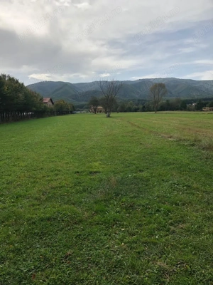 Teren intravilan Tocile Sadu 2000 mp - imagine 8