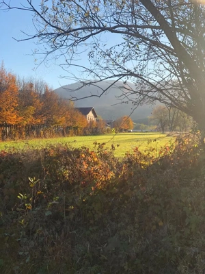 Teren intravilan Tocile Sadu 2000 mp - imagine 3