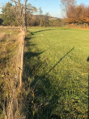 Teren intravilan Tocile Sadu 2000 mp - imagine 7