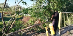 Teren intravilan de vânzare Săucești, sat Săucești  - imagine 2